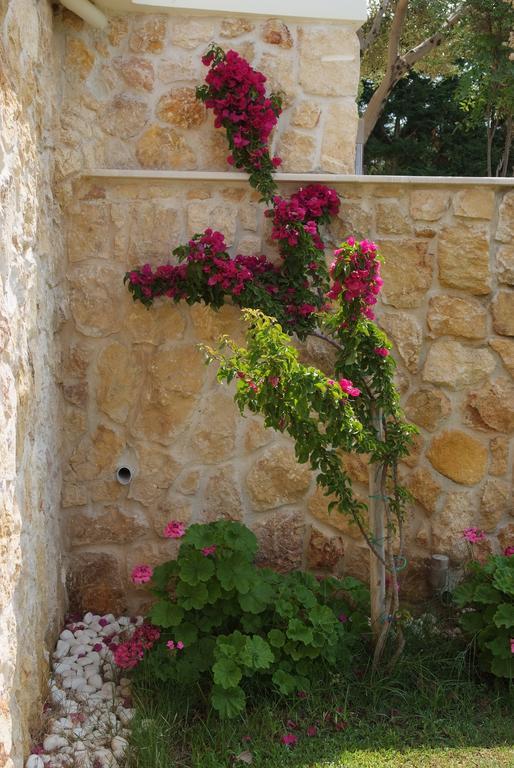ניקיטי Sofia Luxury Maisonettes מראה חיצוני תמונה